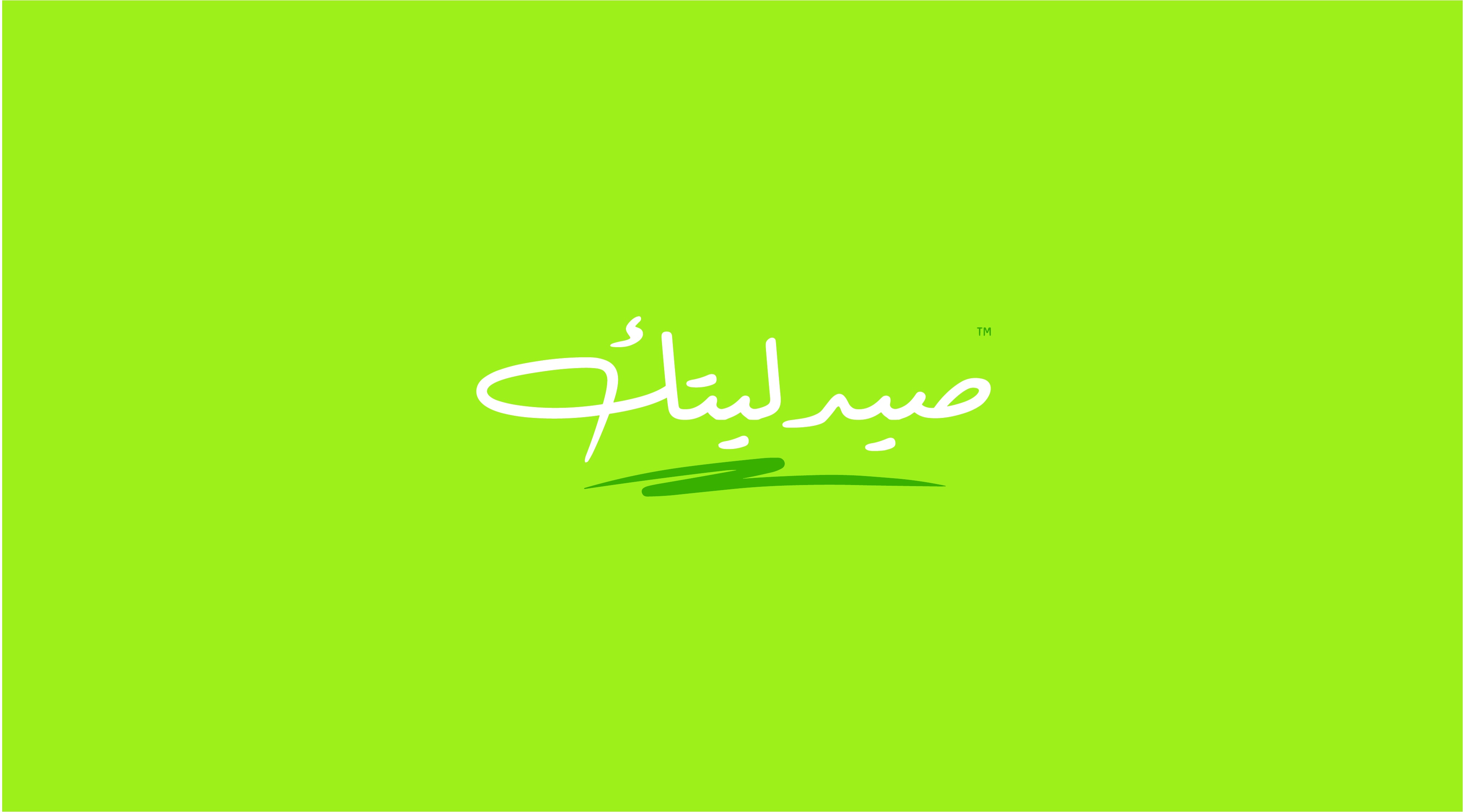 Visual identity and brand design project 13 by Omar Yaser — 16